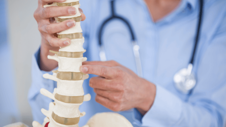 a person is examining a model of the spine